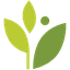 athenahealth logo